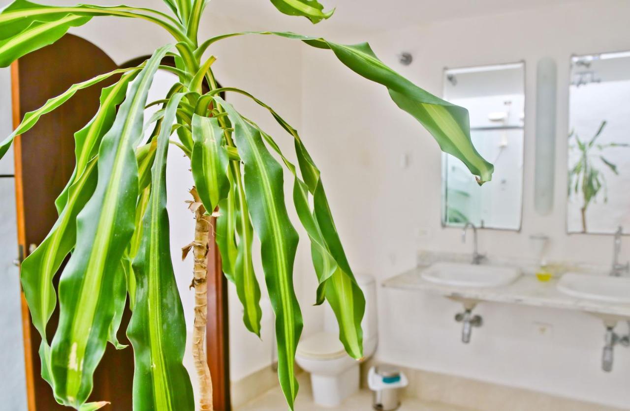 Casa Mani Alojamento de Acomodação e Pequeno-almoço